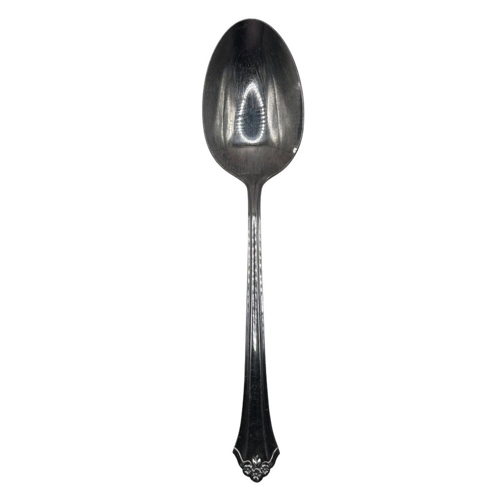 Vintage Oneida Northland Perception Stainless Steel Serving Spoon Glossy Finish